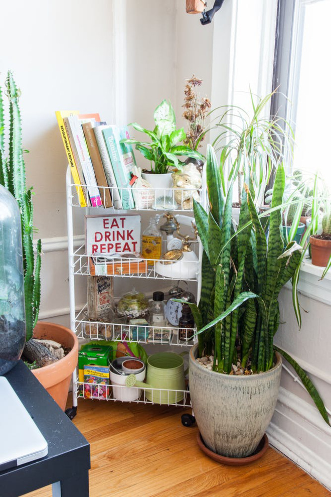 Căn hộ 30m² nhưng có cả góc thiền và khu vườn xanh mướt mắt của cặp đôi cá tính - Ảnh 9. Căn hộ 30m² nhưng có cả góc thiền và khu vườn xanh mướt mắt của cặp đôi cá tính - Ảnh 9.