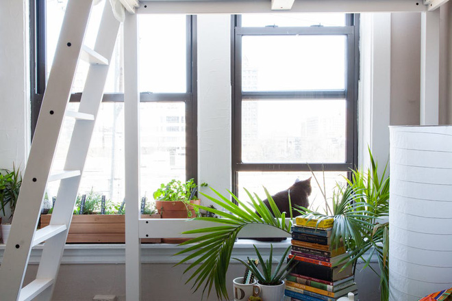 Căn hộ 30m² nhưng có cả góc thiền và khu vườn xanh mướt mắt của cặp đôi cá tính - Ảnh 11. Căn hộ 30m² nhưng có cả góc thiền và khu vườn xanh mướt mắt của cặp đôi cá tính - Ảnh 11.