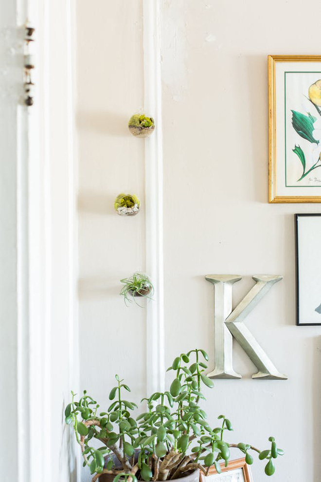 Căn hộ 30m² nhưng có cả góc thiền và khu vườn xanh mướt mắt của cặp đôi cá tính - Ảnh 10. Căn hộ 30m² nhưng có cả góc thiền và khu vườn xanh mướt mắt của cặp đôi cá tính - Ảnh 10.