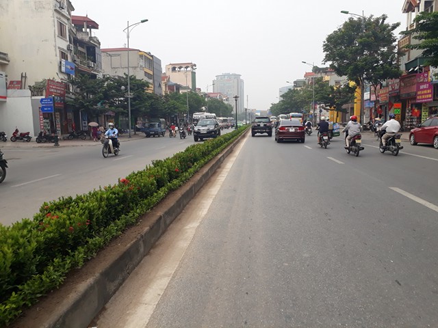 Chính trị - Xã hội - Hà Nội: Sự thật hàng loạt cây xanh trên dải phân cách bị nhổ bỏ (Hình 3).