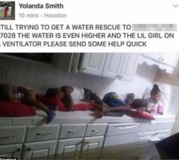 Những hình ảnh kinh khủng nhất từ siêu bão Harvey - cơn ác mộng của người dân Mỹ - Ảnh 5. Những hình ảnh kinh khủng nhất từ siêu bão Harvey - cơn ác mộng của người dân Mỹ - Ảnh 5.