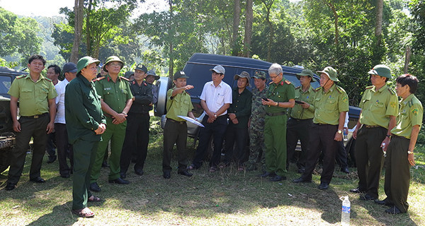 Chính trị - Xã hội - Tìm con đường lâm tặc đột nhập dễ dàng đốn gọn 43,7ha rừng (Hình 2).