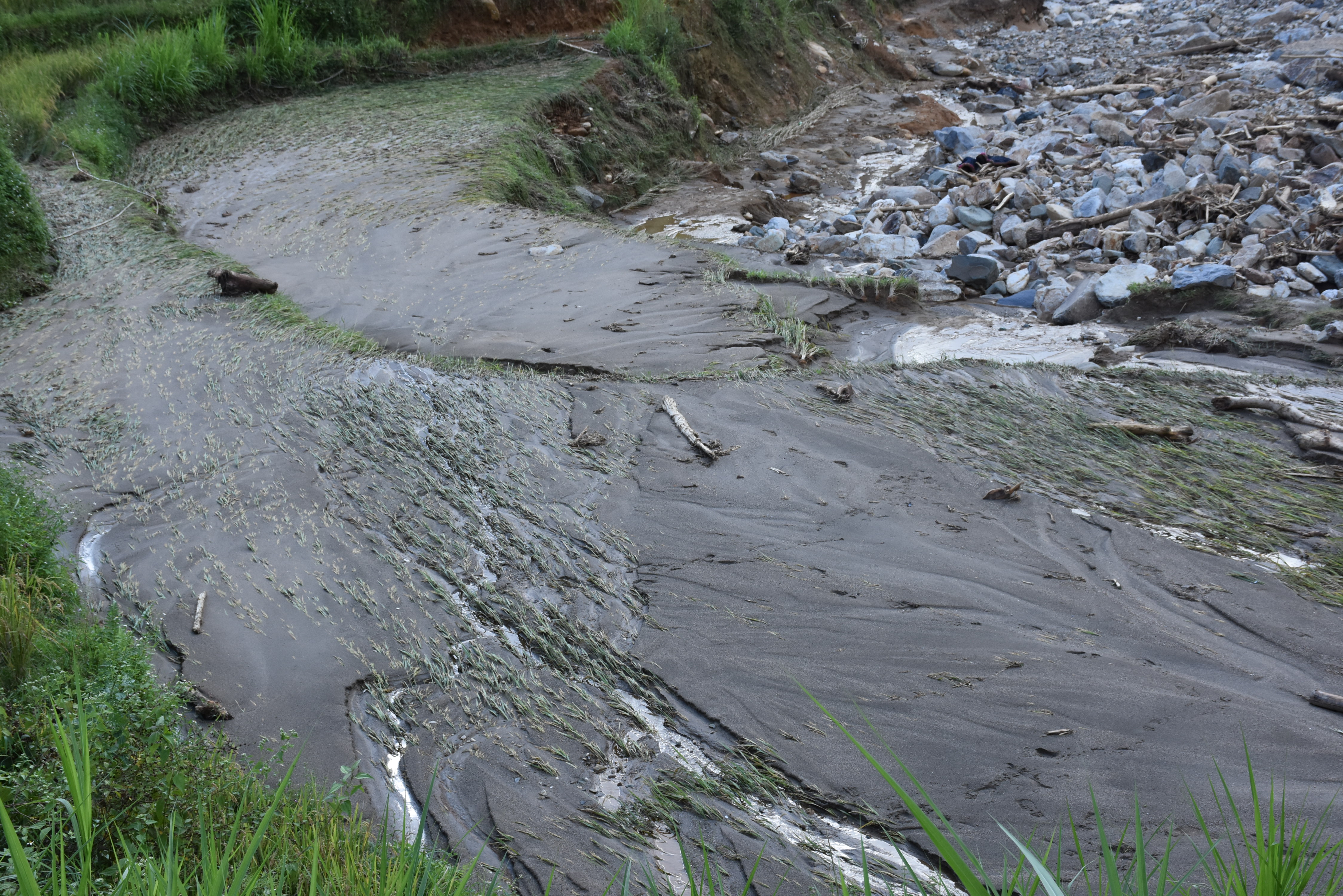 Chính trị - Xã hội - Chết lặng sau cuộc gọi: 'Cậu ơi về ngay đi, nhà 5 người bị lũ cuốn hết rồi'