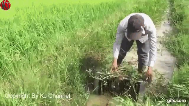 Tivi hỏng, anh chàng vác ra đồng ruộng làm một việc khiến ai cũng thèm muốn - Ảnh 6. Tivi hỏng, anh chàng vác ra đồng ruộng làm một việc khiến ai cũng thèm muốn - Ảnh 6.