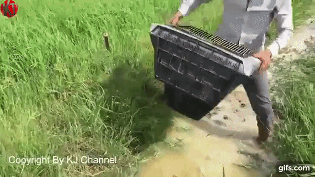 Tivi hỏng, anh chàng vác ra đồng ruộng làm một việc khiến ai cũng thèm muốn - Ảnh 5. Tivi hỏng, anh chàng vác ra đồng ruộng làm một việc khiến ai cũng thèm muốn - Ảnh 5.