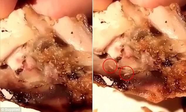 Úc: Đang ngon lành ăn miếng thịt gà KFC, người đàn ông đứng hình khi thấy giòi bò trên đĩa - Ảnh 2. Úc: Đang ngon lành ăn miếng thịt gà KFC, người đàn ông đứng hình khi thấy giòi bò trên đĩa - Ảnh 2.