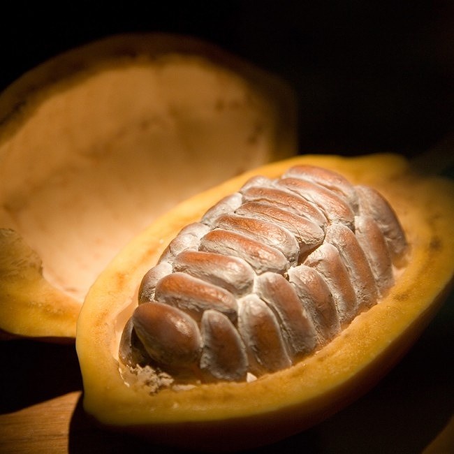 ca cao tươi đang khiến người hà thành lên "cơn sốt" hình 10 ca cao tuoi dang khien nguoi ha thanh len "con sot" hinh 10