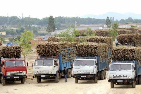 Tin nhanh - Nhà máy điện sinh khối Đường Quảng Ngãi chính thức đi vào vận hành