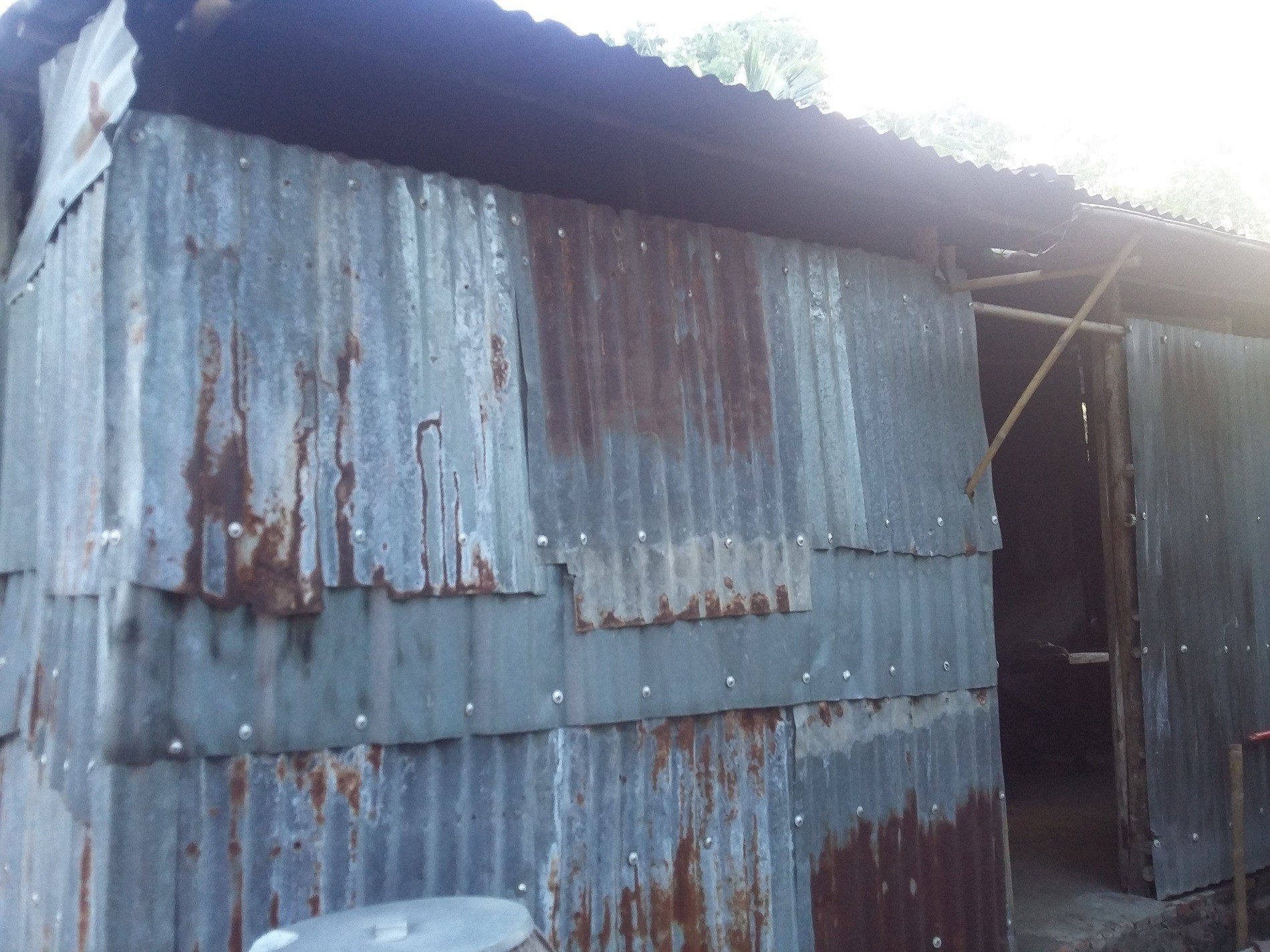 Xã hội - Lão nông khổ sở khi thấy kho báu, 'trả nghiệp' 20 năm đi tìm vàng (Hình 3).