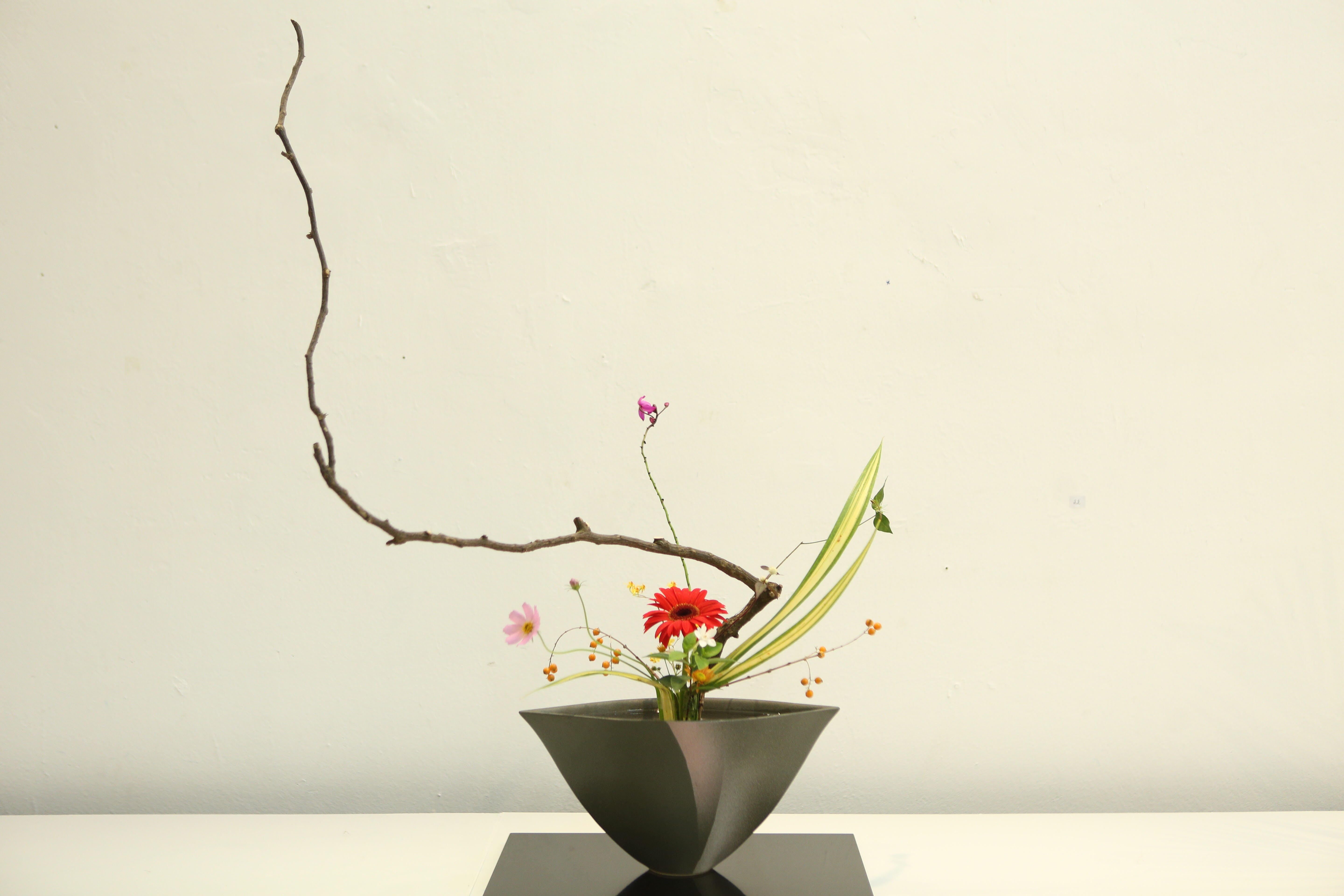 Văn hoá - Lần đầu tiên tại Hà Nội: Triển lãm Nghệ thuật Ikebana của Nguyễn Thanh Tú được ra mắt