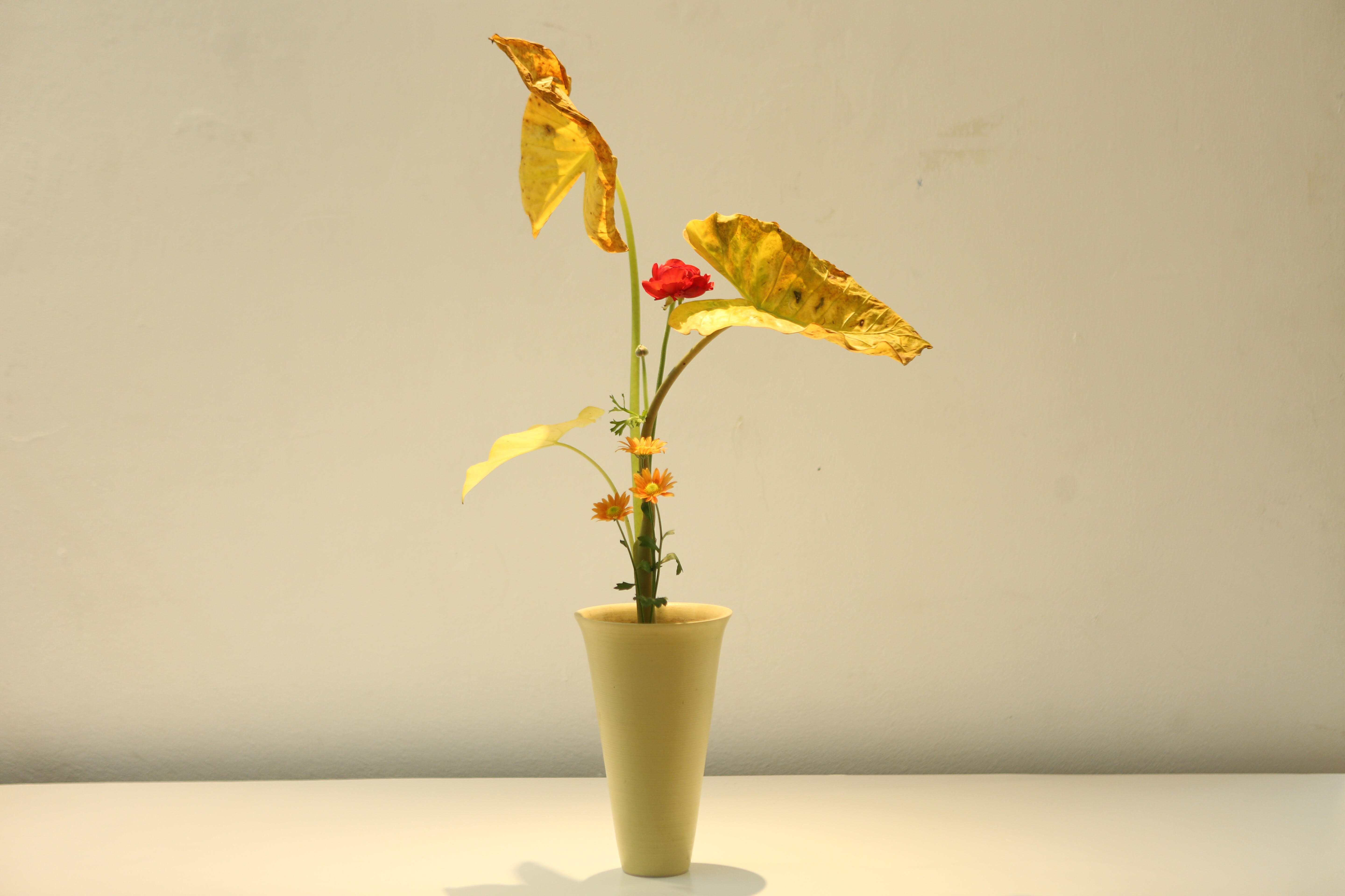 Văn hoá - Lần đầu tiên tại Hà Nội: Triển lãm Nghệ thuật Ikebana của Nguyễn Thanh Tú được ra mắt (Hình 4).