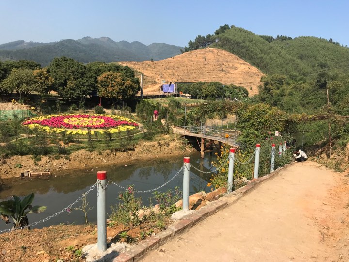 Xã hội - Hành tung bí ẩn của cô đồng gắn với “cáo buộc” thả rắn khủng ở Vĩnh Phúc