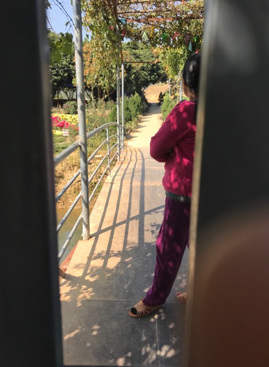 Xã hội - Hành tung bí ẩn của cô đồng gắn với “cáo buộc” thả rắn khủng ở Vĩnh Phúc (Hình 2).