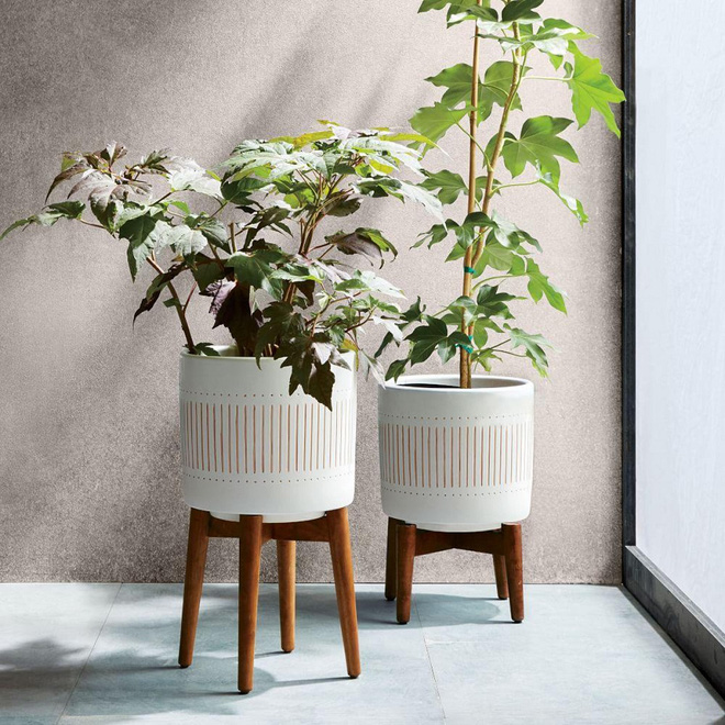 Gợi ý những mẫu thiết kế chậu cây xanh trong nhà cho những người yêu thiên nhiên - Ảnh 7. Gợi ý những mẫu thiết kế chậu cây xanh trong nhà cho những người yêu thiên nhiên - Ảnh 7.