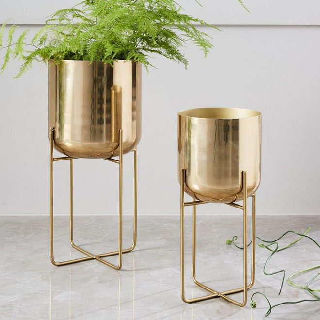 Gợi ý những mẫu thiết kế chậu cây xanh trong nhà cho những người yêu thiên nhiên - Ảnh 8. Gợi ý những mẫu thiết kế chậu cây xanh trong nhà cho những người yêu thiên nhiên - Ảnh 8.