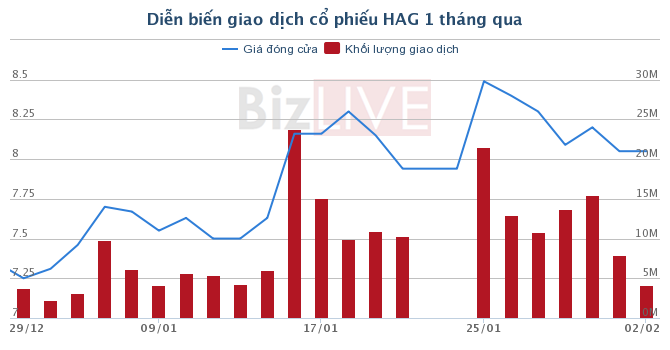 Tài chính - Ngân hàng - Chậm công bố thông tin, Hoàng Anh Gia Lai bị phạt 60 triệu đồng