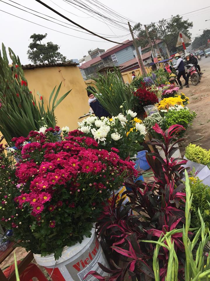 Gia đình - Người bán hoa khóc ròng vì khách đợi 30 Tết mới… “chơi” hoa
