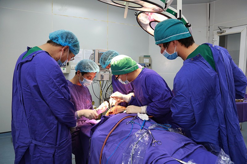 Sức khỏe - Hy hữu: Gắp bỏ thành công hơn 100 dị vật trong hàm bệnh nhân
