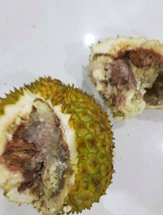 Cộng đồng mạng - Tài xế nói gì về việc bán sầu riêng hỏng, cứng đơ cho người dân? (Hình 2).