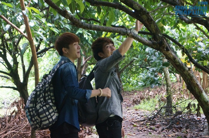 Nhóm La Thăng về quê làm nông dân