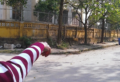 Tái tê nỗi đau người mẹ và bí ẩn hành vi của kẻ sát nhân 