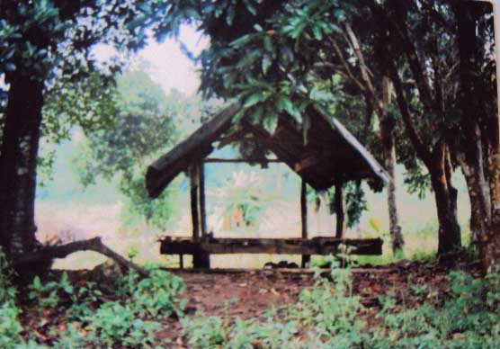 Bắn chết tình địch, vứt xác xuống suối