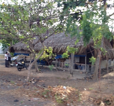 Chuyên án ĐB99: Chân dung 