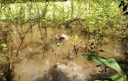 Phát hiện con gái chết và rùng mình chuyện 