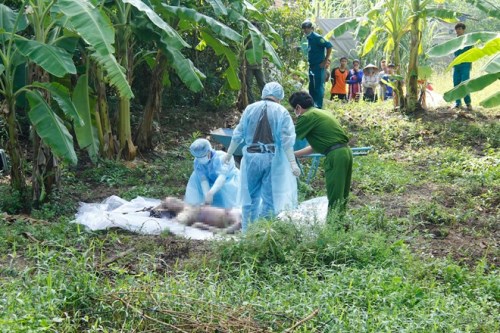 Bí ẩn xác người đàn ông bị quấn chăn vứt ở KCN Sóng Thần