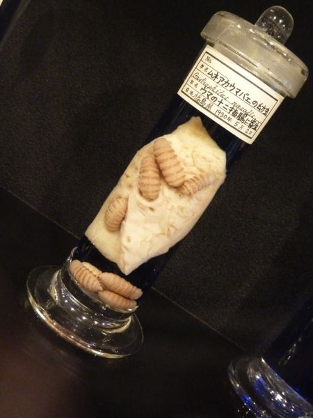 Rùng rợn bảo tàng tra tấn tàn độc nhất thế giới Rùng rợn bảo tàng tra tấn tàn độc nhất thế giới