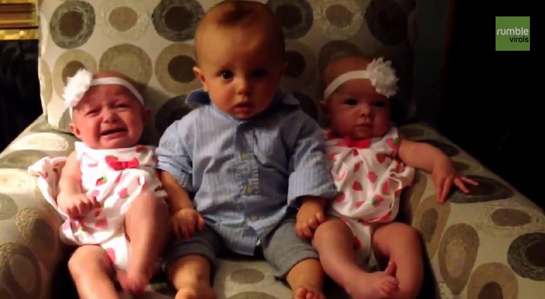 Clip: Hài hước cậu bé 2 tuổi nghệt mặt nhìn hai em gái sinh đôi