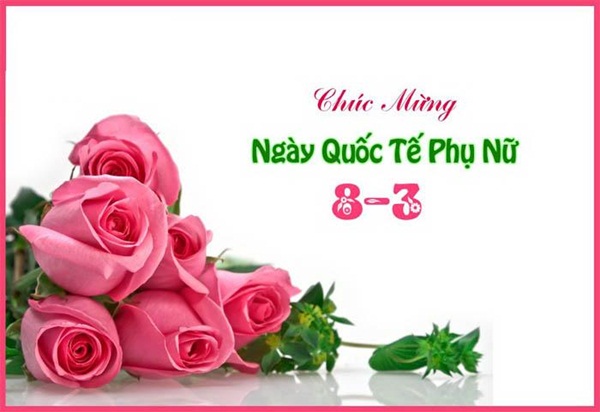 Lời chúc mừng ngày 8/3 hài hước nhất Lời chúc mừng ngày 8/3 hài hước nhất