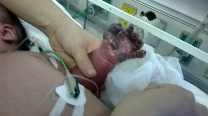 Những bức tâm thư xúc động gửi Bộ trưởng Tiến Những bức tâm thư xúc động gửi Bộ trưởng Tiến