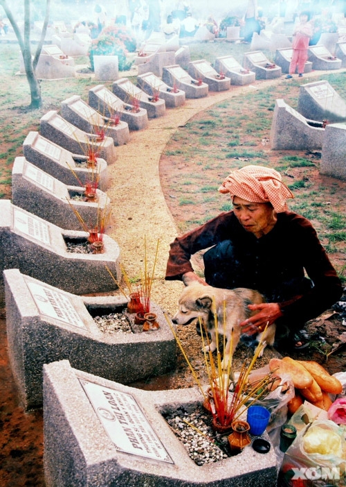 Những hình ảnh cảm động về tình mẹ 