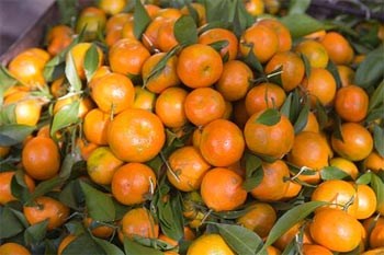 Mẹo nhận biết hoa quả Trung Quốc