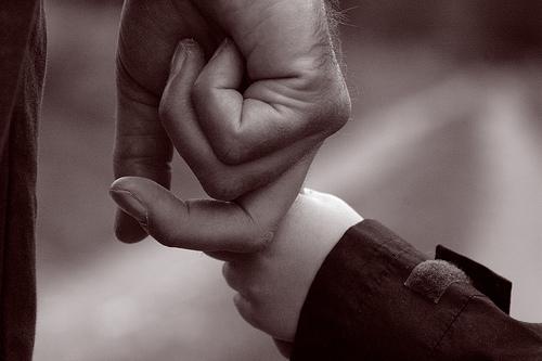 Những hình ảnh ấm áp về tình cha con