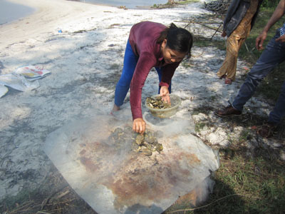 Khám phá mảnh đất được người đời xưng tụng là “vương quốc” hàu