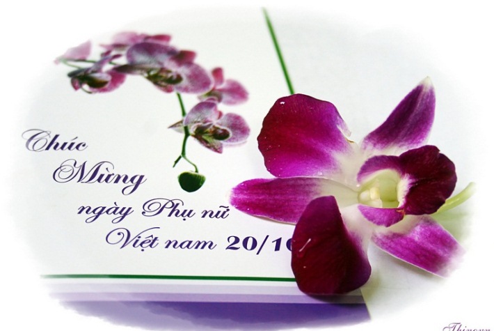 Những lời chúc 20/10 hay và “độc” nhất tặng bà xã Những lời chúc 20/10 hay và “độc” nhất tặng bà xã