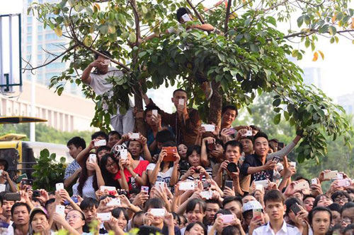 Fan leo cây, đu tường nhà để ngắm Phạm Băng Băng