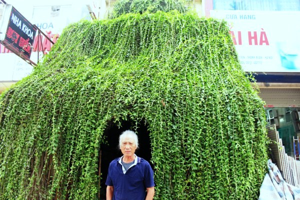 Ngôi nhà chằng chịt dây leo của ông lão gần 70 tuổi tại Hà Nội