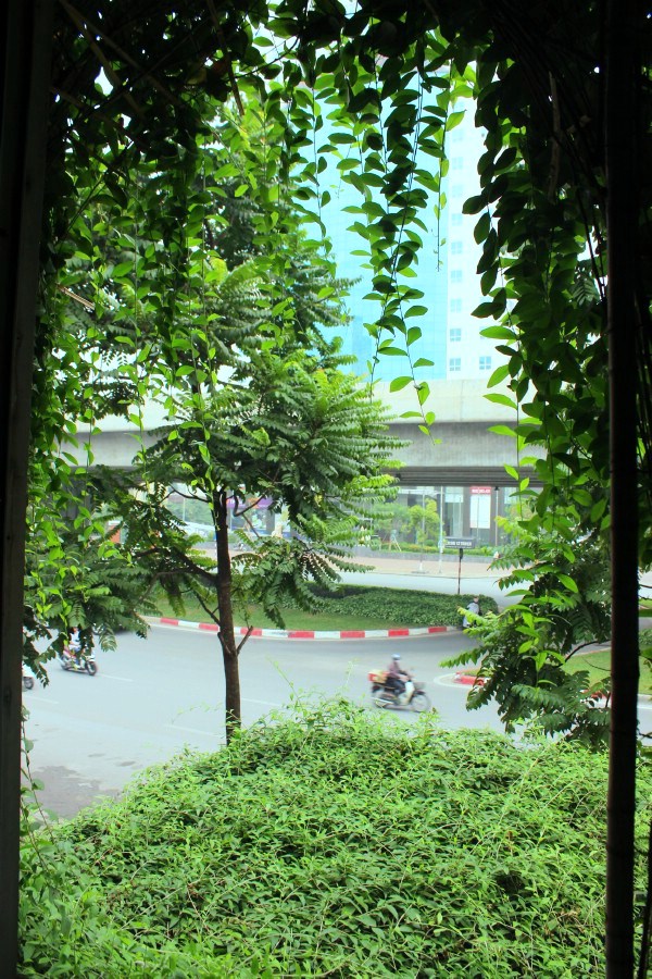 Ngôi nhà chằng chịt dây leo của ông lão gần 70 tuổi tại Hà Nội