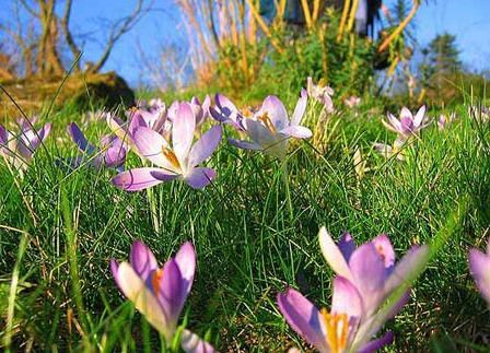 5 quái chiêu tránh thai của mỹ nữ Trung Quốc cổ đại 5 quái chiêu tránh thai của mỹ nữ Trung Quốc cổ đại