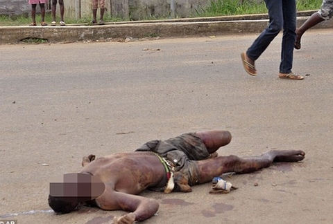 Những hình ảnh Những hình ảnh