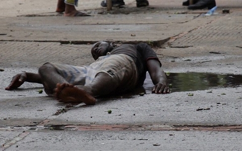 Những hình ảnh Những hình ảnh