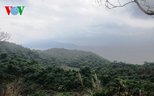 Bộ Quốc phòng sẽ cho dừng dự án Trung Quốc trên đèo Hải Vân?