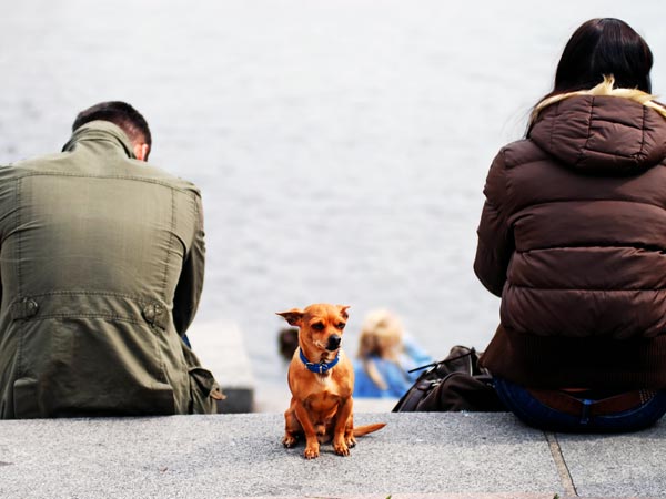 Bí quyết tránh xung đột trong tình yêu