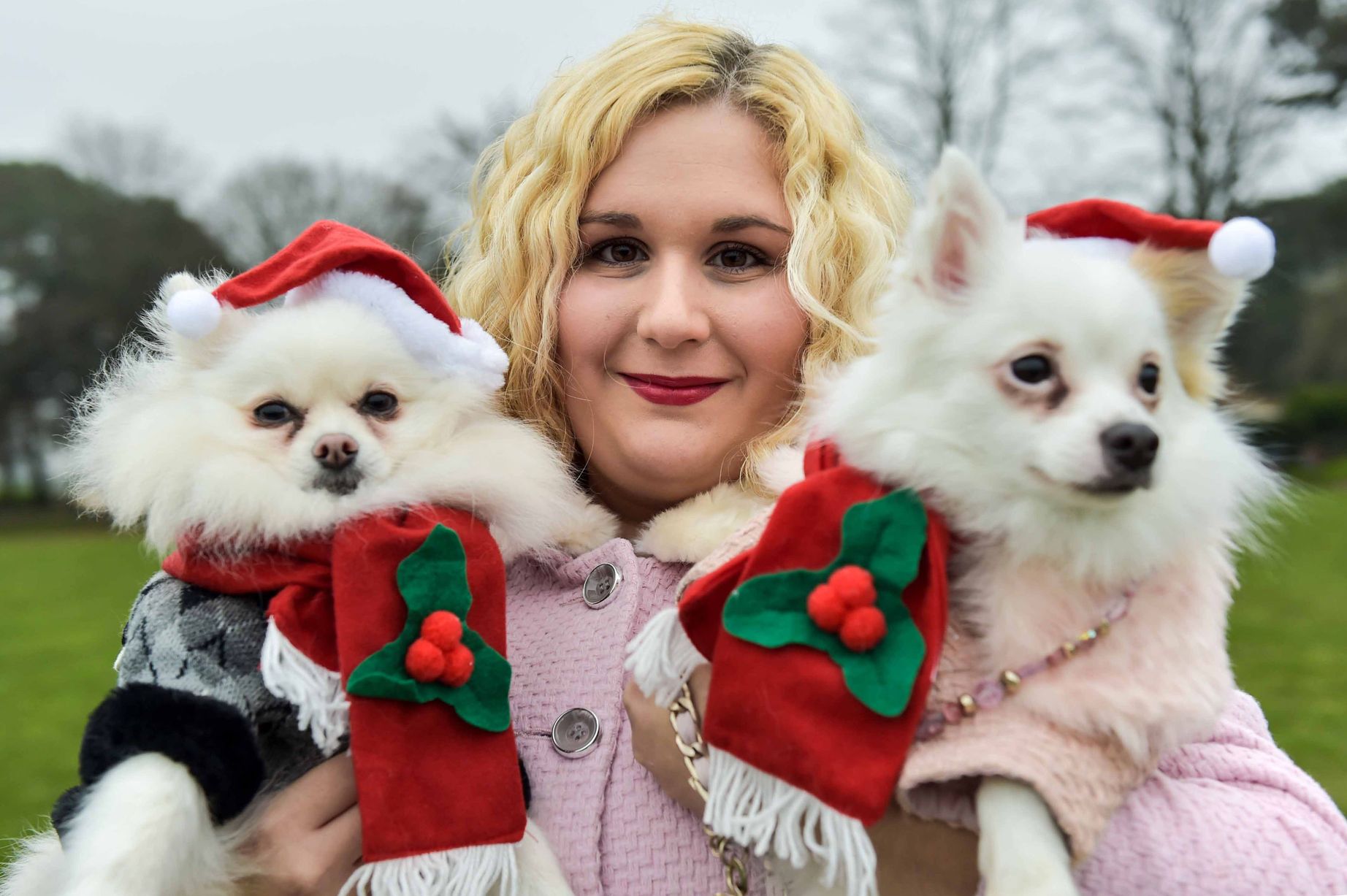 Giáng sinh: Cô gái chi hàng chục triệu đồng sắm quà cho… cún cưng