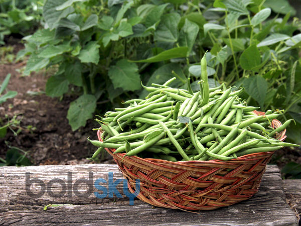 6 thực phẩm cấm kỵ ăn sống