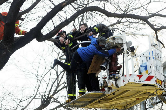 Giải cứu người đàn ông trèo lên cây rao bán thận