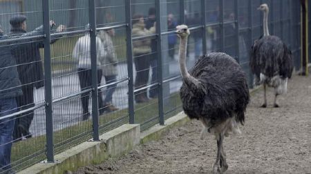 Khám phá dinh thự lộng lẫy của Tổng thống Yanukovych